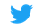 Social icon